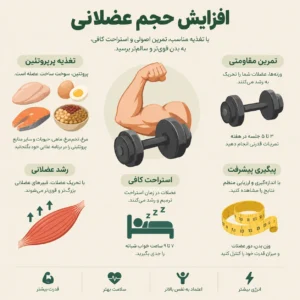 فرق افزایش وزن با افزایش حجم چیست؟ | راهنمای اصولی