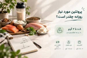 پروتئین مورد نیاز روزانه چقدر است؟ محاسبه مقدار پروتئین