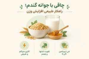 چاقی با جوانه گندم | روش سنتی یا واقعاً مؤثر؟